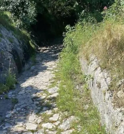 Dei Srls - * بوسيتانو